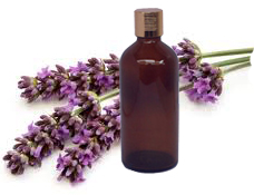 Lavender Essential Oil