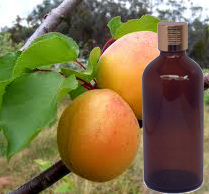 Apricot Oil