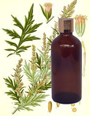 Armoise Oil