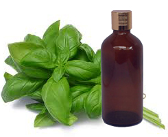Basil Oil