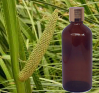 Calamus Oil
