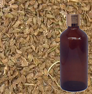 Carrot Seed Oil