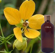 Cassia Essential Oil