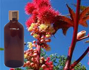 Castor USP Carrier Oil