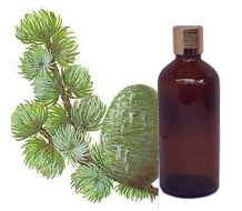 Cedarwood Essential Oil