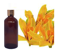 Champa Attar 
