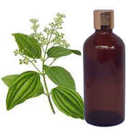 Cinnamon Leaf Oil