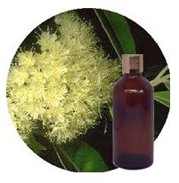 Citriodora Essential Oil