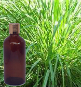Citronella Oil 