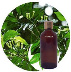 Clove Leaf Essential Oil