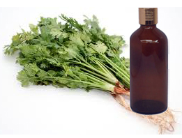 Coriander Essential Oil 