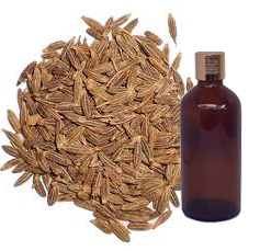 Cumin Seed