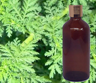 Davana Essential Oil 