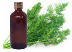 Dill Seed Oil