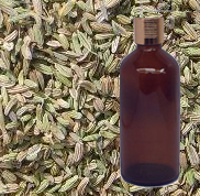  Fennel Sweet Oil 