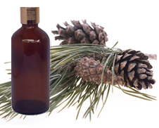  Fir Needle Oil 
