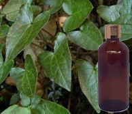  Ginger Grass Oil 