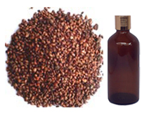  Gurjun Oil 