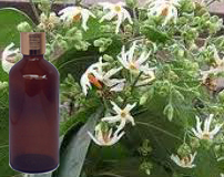 Harshingar Oil