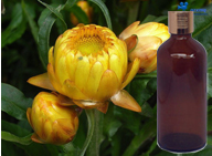 Helichrysum Oil