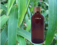 Jamarosa Oil