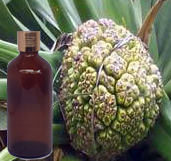  Kewra Attar 