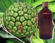  Kewra Oil 