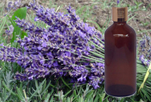 Lavandin Essential Oil 