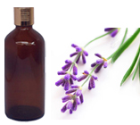 Lavender Absolute