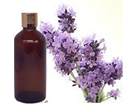 Lavender Oil 