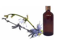 Lavender T