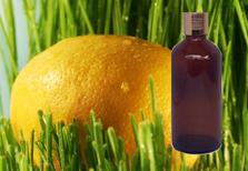 Lemongrass Oil 