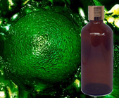 Litsea Cubeba Essential Oil 