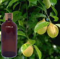 Mace Oil 