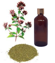 Marjoram Oil