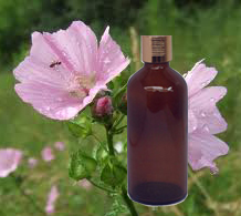 Musk Rose