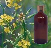 Mustard Essential Oil 