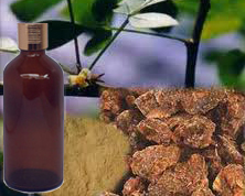 Myrrh Essential Oil 