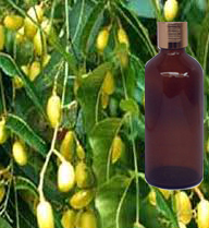 Neem Oil 
