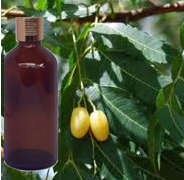  Neem Water 