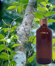  Neroli Essential Oil 