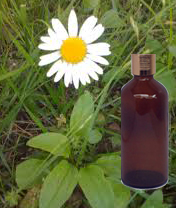 Oregano Essential Oil