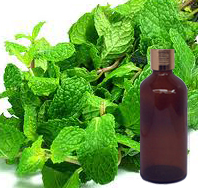 Peppermint Oil