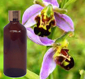 Pimento Leaf Essential Oil 