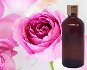  Rose Absolute 