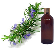 Rose Mary Oil 