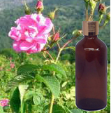 Rose Otto