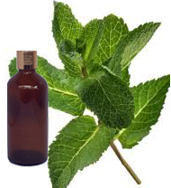 Spearmint Oil 