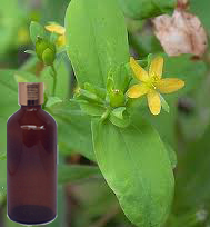 St John's Wort Oil 