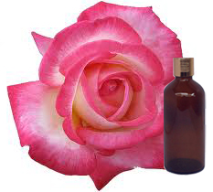 T.Rose 